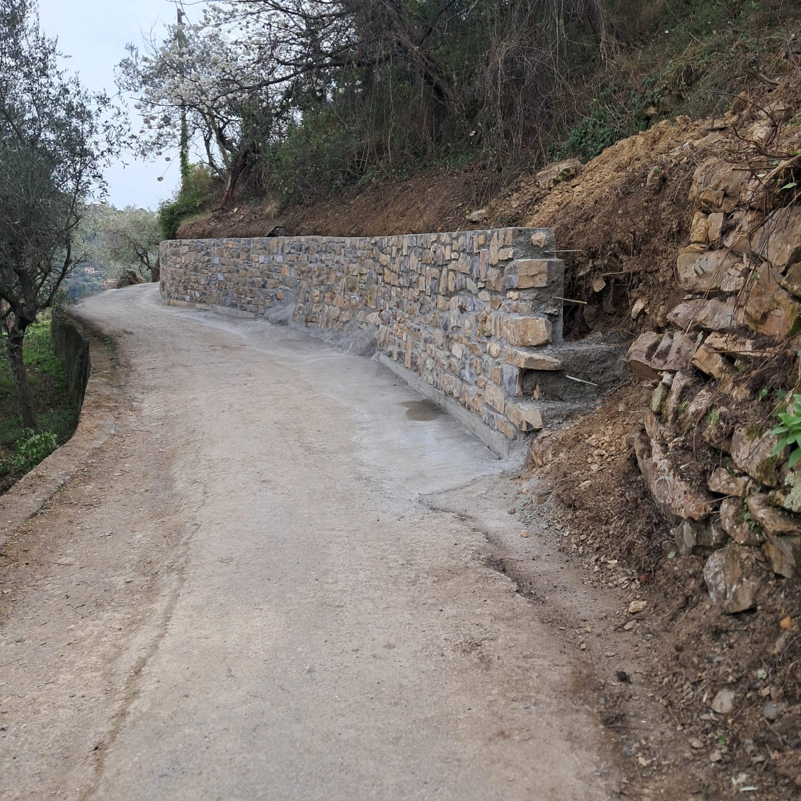 Murs de soutènement - Sud Démolition Construction